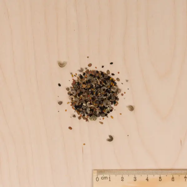 Mélanges de fleurs - Fleurs Annuelles pour Balcons - 4 m² - Mélange de fleurs - MEDIA_3D